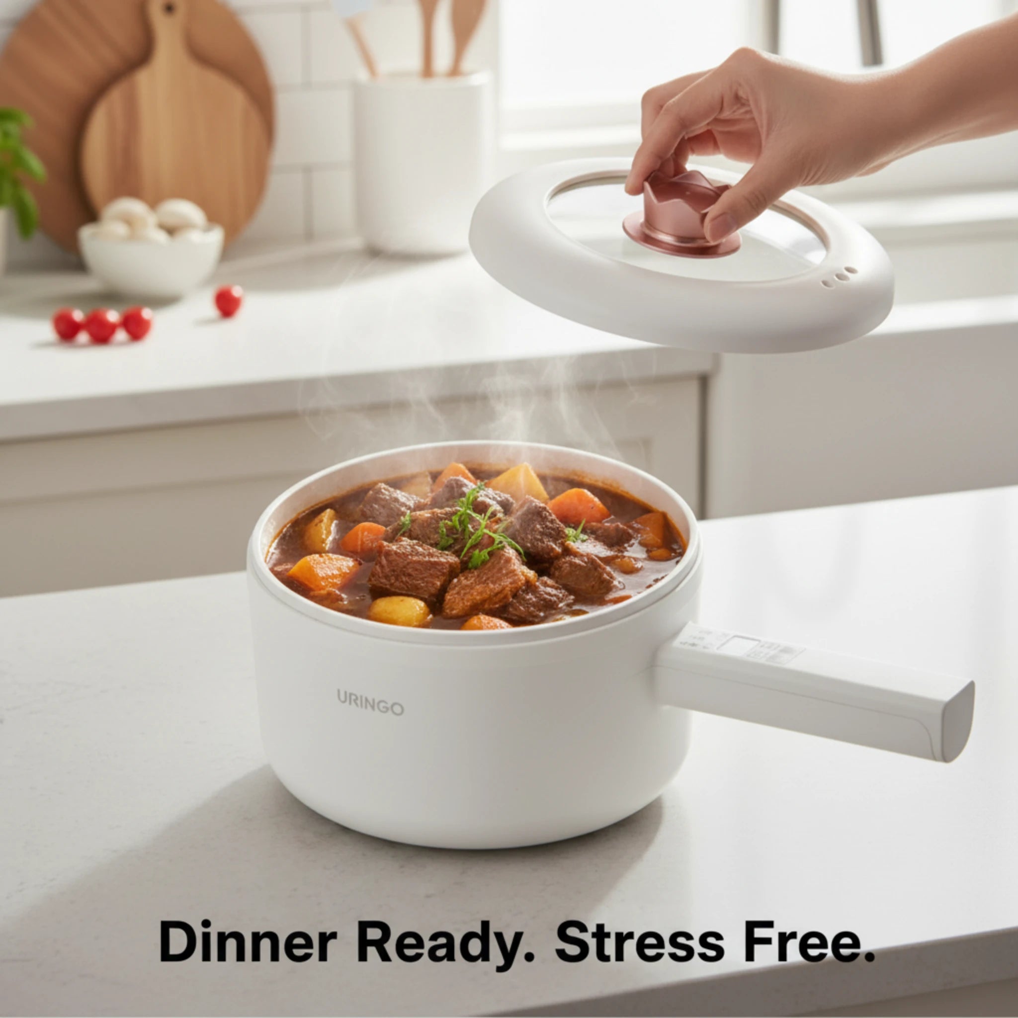 Multi-Cooker Pot